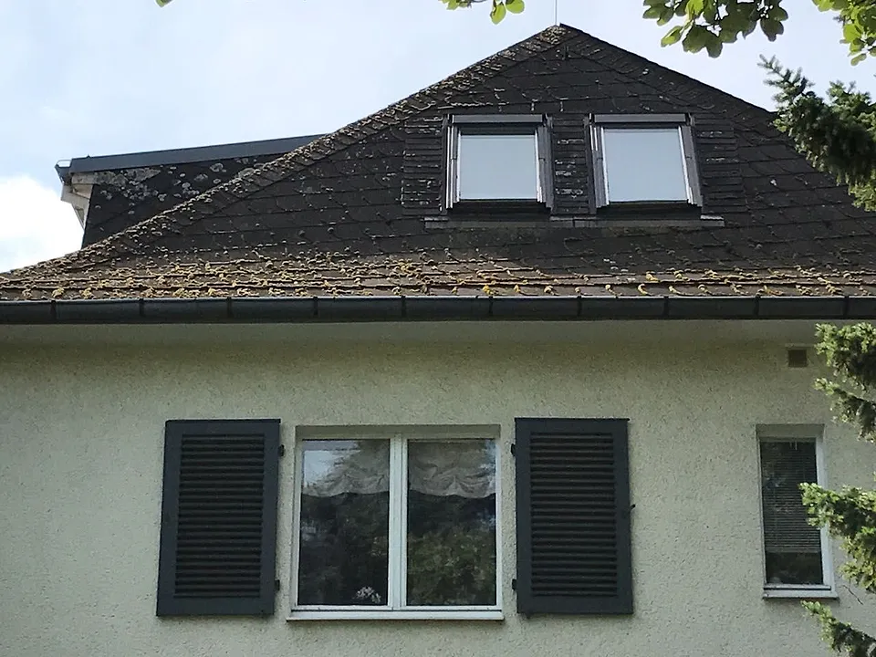 Bemoostes Dach vor der Reinigung.