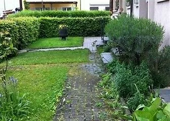 Vorher: Gartenweg, Moos und Algen aus den Fugen geholt.